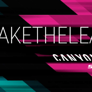 Flat mount disc calipers provide extra rigidity and better heat management.